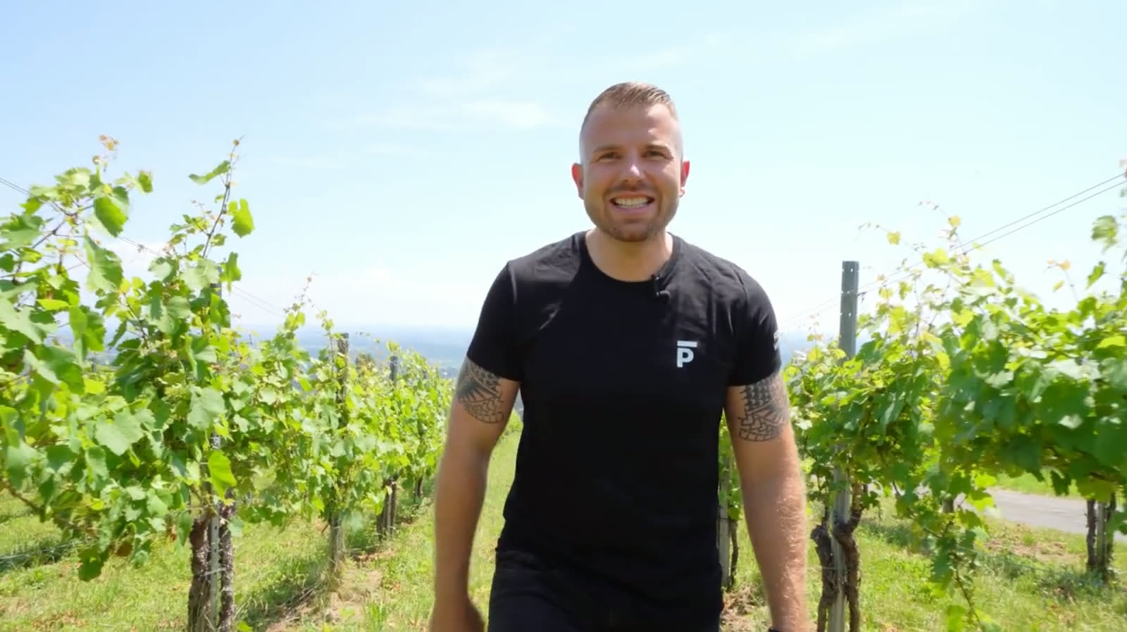 Bmst. DI Robert Pauschenwein in den Weingärten der Steiermark